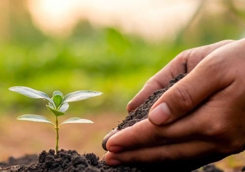 Innere Leere, Samen saeen