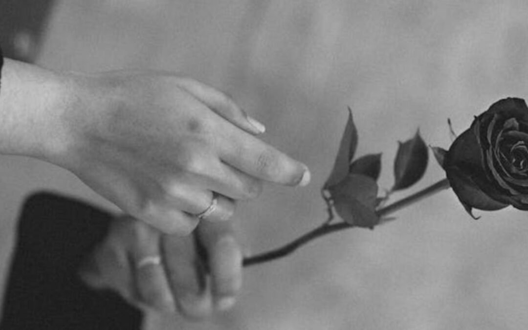 Moral Injury & Vegebung