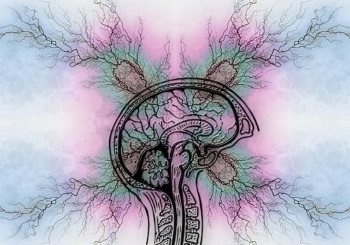 Störung der Schmerzverarbeitung